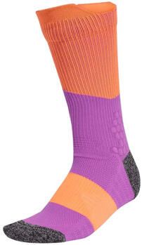 Adidas Sportsokken Chaussettes Runxboost Crew violet