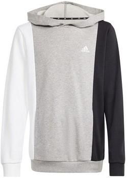 Adidas Sweater Cb Ft Hd Jr