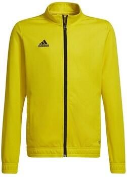 Adidas Sweater Entrada 22