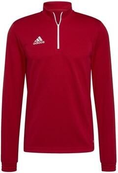 Adidas Performance Entrada 22 Trainingsshirt - Foto 3