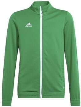 Adidas Sweater Entrada 22