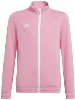 Adidas Sweater Entrada 22
