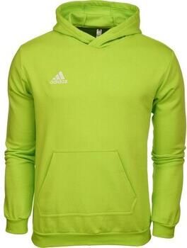 Adidas Performance Entrada 22 Sweat Hoodie - Foto 2