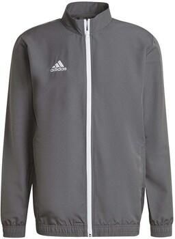 Adidas Performance Entrada 22 Presentatiejack - Foto 2