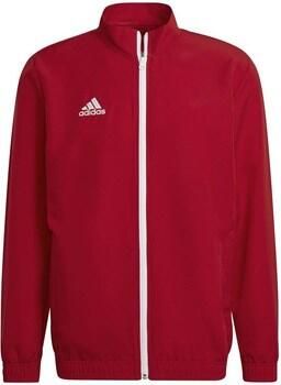 Adidas Performance Entrada 22 Presentatiejack - Foto 2