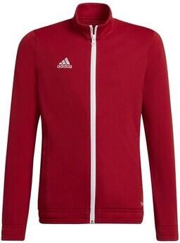 Adidas Sweater Entrada 22 Track