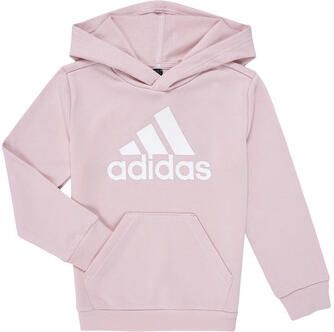 Adidas Sweater Essentials Logo Hoodie