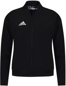 Adidas Sweater GP7955
