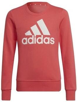 Adidas Sweater HE1984