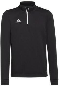 Adidas Sweater
