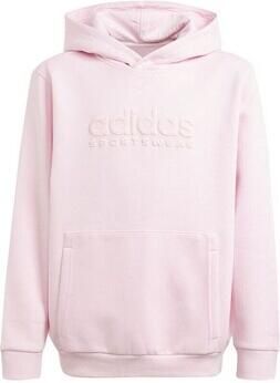 Adidas All Season Graphic Hoodie Kids