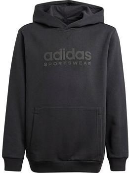 Adidas All Season Graphic Hoodie Kids