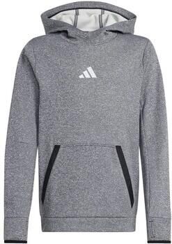 Adidas Fleece Hoodie Kids