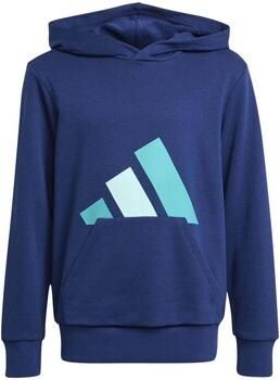 Adidas Sweater J Bl Ft Hd 280