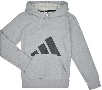 Adidas Essentials Hoodie Kids Grijs Kind Grijs