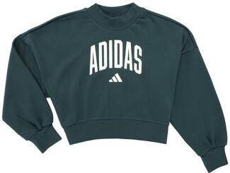 Adidas Sweater Seasonals Essentials Collegiate Typography Crewneck Sweatshirt K