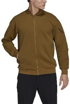 Adidas Sweater Terrex Hike