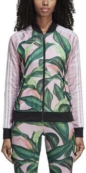 Adidas Sweater The Farm Company Sst - Foto 1