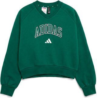 Adidas Sweaters Seasonals Collegiate Typography V-neck Junior Girls Sweatshirt
