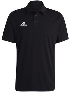 Adidas Polo Shirt Korte Mouw Entrada 22 - Foto 2