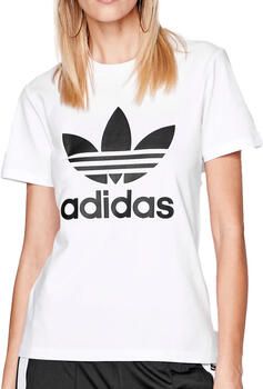 Adidas T-shirt Korte Mouw Adicolor Classics Trefoil Tee - Foto 4