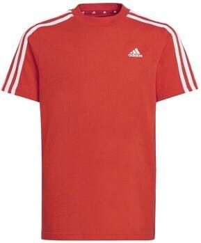 Adidas T-shirt Korte Mouw 3s Tee
