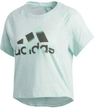 Adidas T-shirt Korte Mouw Boxy Badge OF Sport
