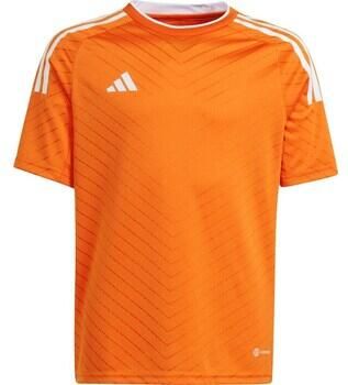 Adidas T-shirt Korte Mouw Campeon 23