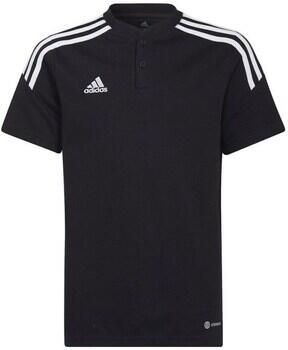 Adidas T-shirt Korte Mouw Condivo 22 Polo