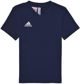 Adidas T-shirt Korte Mouw ENT22 TEE Y