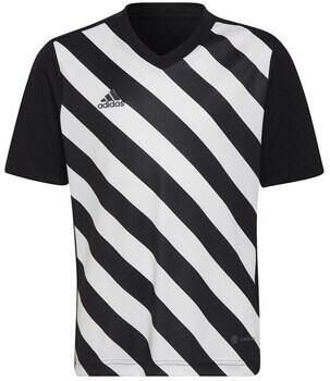 Adidas T-shirt Korte Mouw Entrada 22 Graphic Jersey