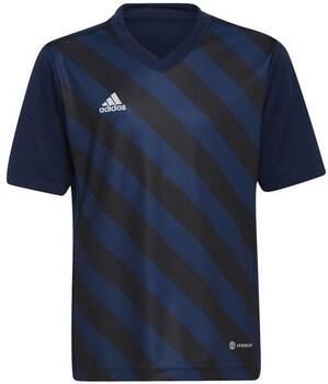 Adidas T-shirt Korte Mouw Entrada 22 Graphic Jersey