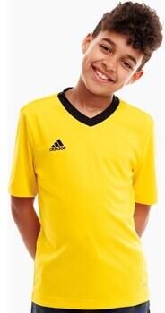 Adidas T-shirt Korte Mouw Entrada 22 - Foto 2