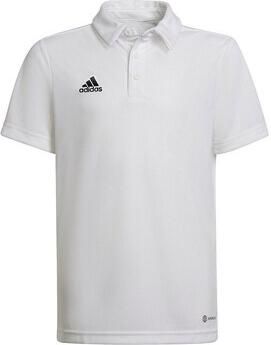 Adidas T-shirt Korte Mouw Entrada 22