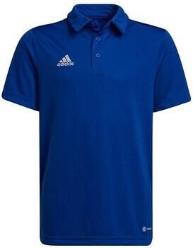 Adidas T-shirt Korte Mouw Entrada 22