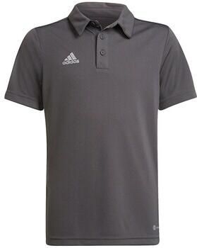 Adidas T-shirt Korte Mouw Entrada 22
