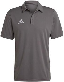 Adidas Polo Shirt Korte Mouw Entrada 22 - Foto 2