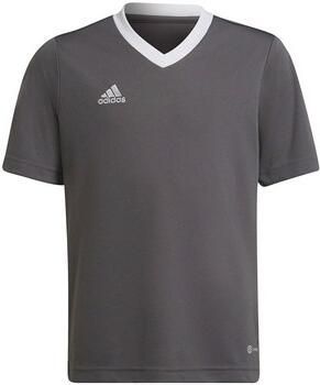Adidas Performance Entrada 22 Voetbalshirt
