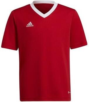 Adidas Performance junior voetbalshirt rood Sport t-shirt Jongens Meisjes Gerecycled polyester Ronde hals 152
