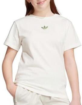 Adidas Originals x Minecraft Graphic T-shirt