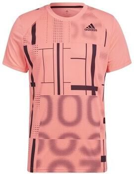 Adidas T-shirt Korte Mouw Graphic Tee