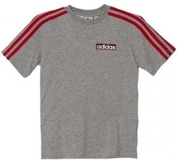Adidas T-shirt Korte Mouw in2122
