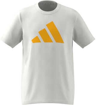 Adidas T-shirt Korte Mouw IP3984