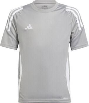 Adidas T-shirt Korte Mouw IS1031