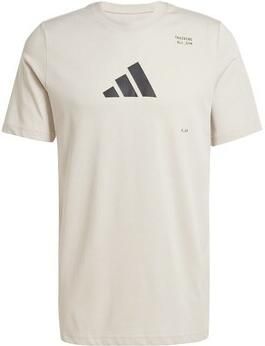 Adidas Performance T-shirt M TR CAT G T