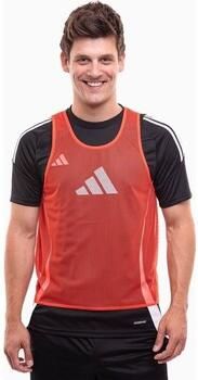 Adidas T-shirt Korte Mouw JF3245