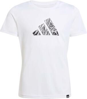 Adidas T-shirt Korte Mouw Jg Animal T