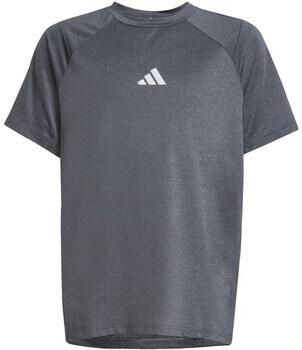 Adidas T-shirt Korte Mouw JJ5050000