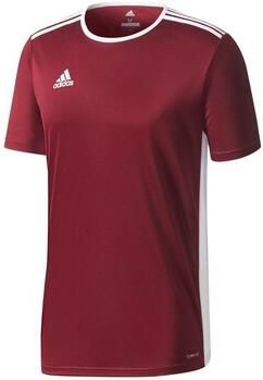 Adidas T-shirt Korte Mouw JR Entrada 18