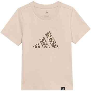 Adidas T-shirt Korte Mouw KQ7010
